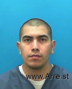 Nestor Fernandez-del Cid Arrest